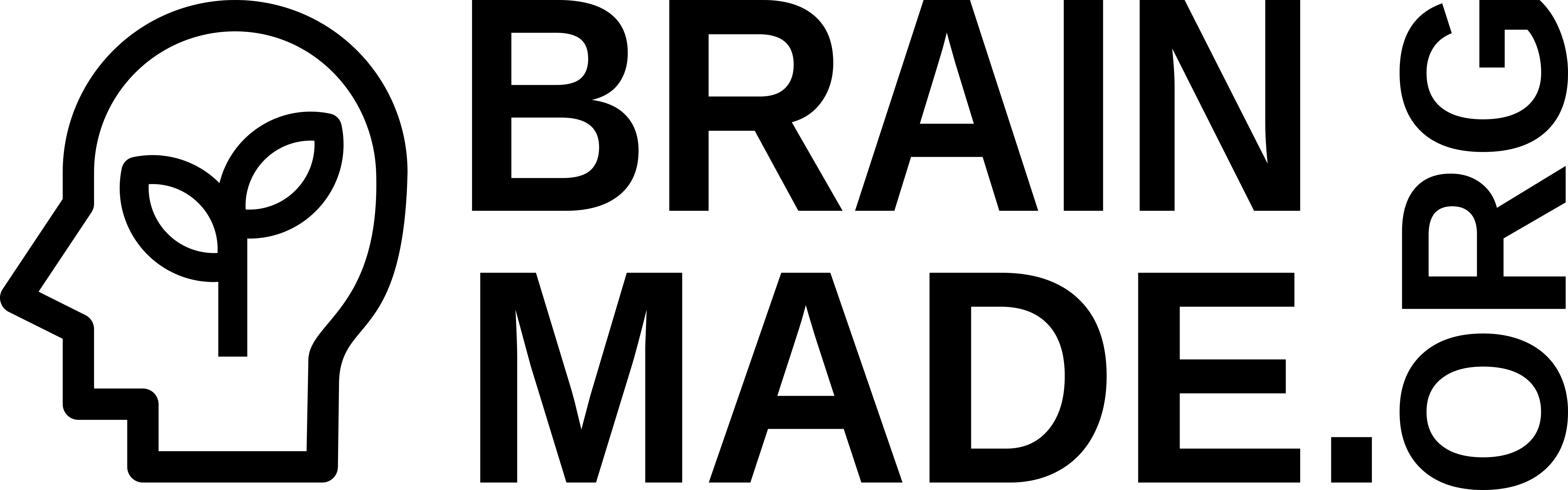 Brain Made.org logo